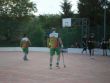 Libina 2008